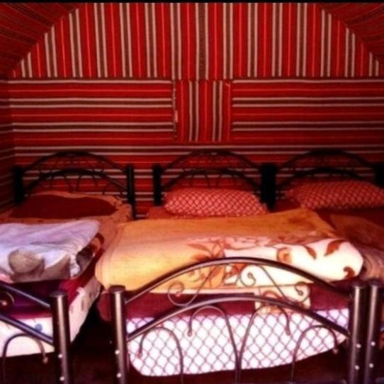 Bedouin Family Camp Hotel Wadi Rum Ngoại thất bức ảnh